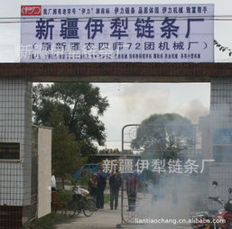 新疆伊犁鏈條廠 立足邊疆，服務農業的鏈條專家