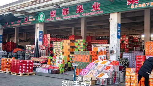 658畝大型商業地塊亮相，揚州這一區域展現農副產品流通新野心
