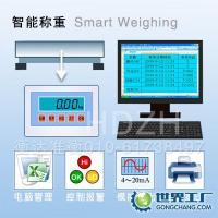 電子稱重4~20mA與0-10V輸出工業(yè)衡器供應(yīng)——精準(zhǔn)秤量，賦能智能制造